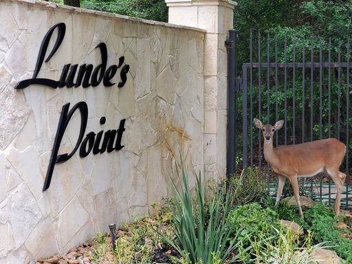 LP gate deer.jpg